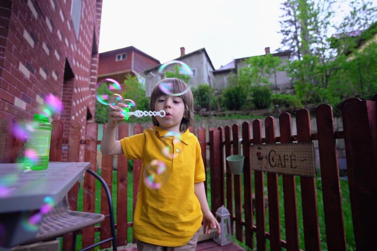 Bubbles Studio Sinaia With Terrace Kültér fotó